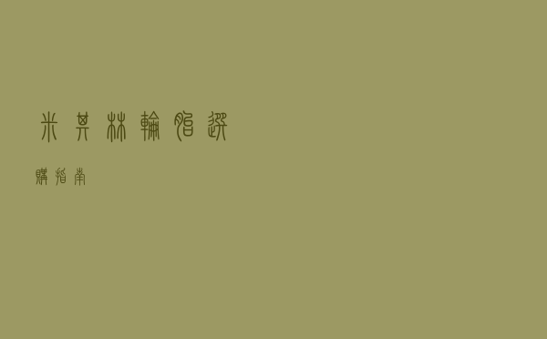 米其林轮胎选购指南