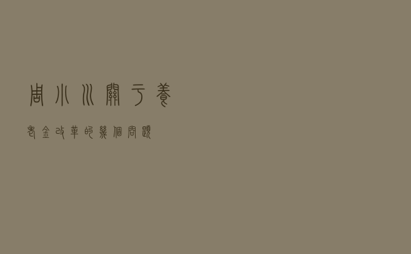 周小川：关于养老金改革的几个问题