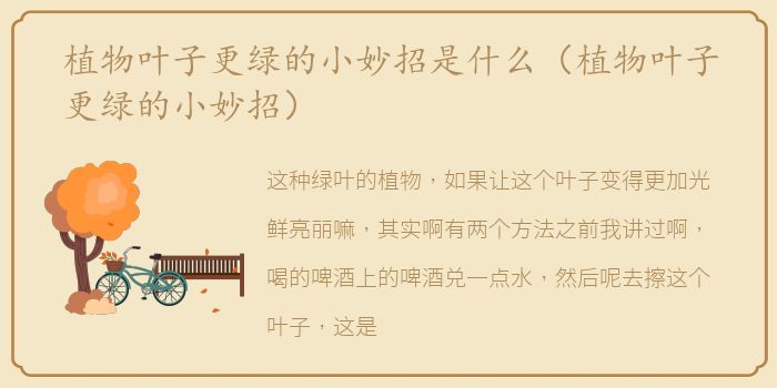 植物叶子更绿的小妙招是什么（植物叶子更绿的小妙招）