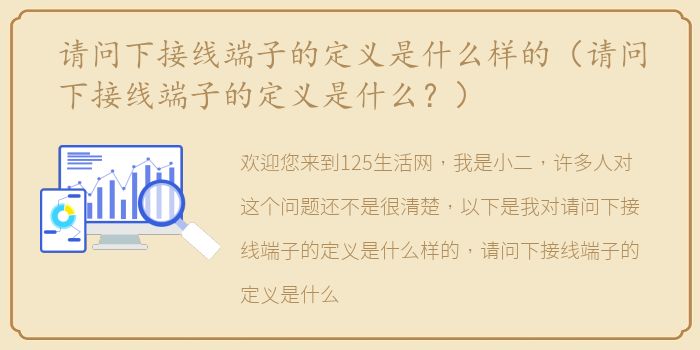 请问下接线端子的定义是什么样的（请问下接线端子的定义是什么？）