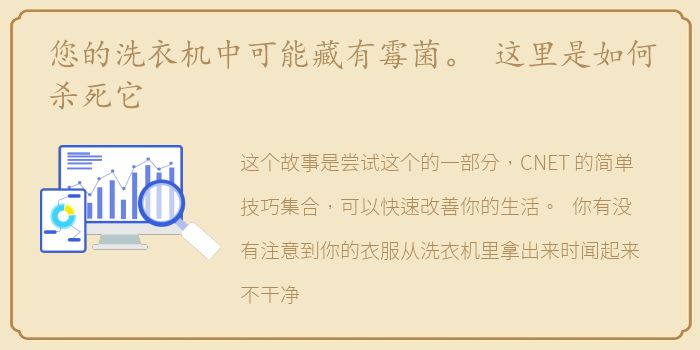 您的洗衣机中可能藏有霉菌。 这里是如何杀死它