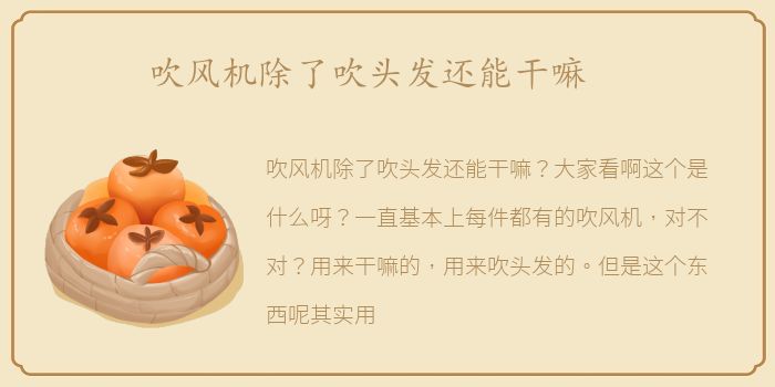 吹风机除了吹头发还能干嘛