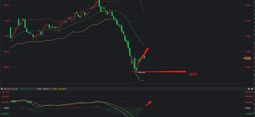 外盘期货豆油实时行情 豆油期货实时行情