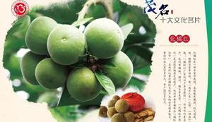 旱莲花有毒吗？ 化橘红的六大危害