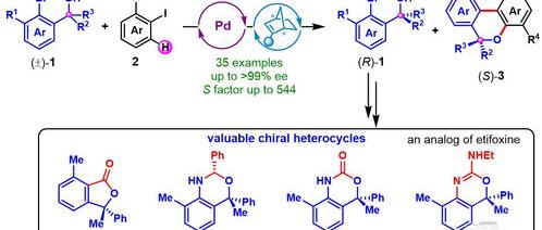 和氢气加成的官能团？ 降冰片烯的官能团