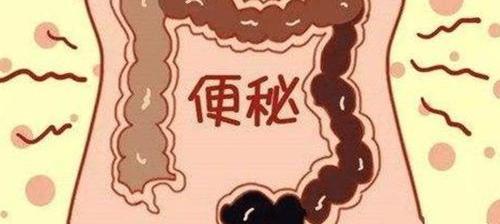 上厕所老被人催怎么办？ 十秒快速催大便的方法