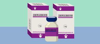 请问孕妇可以吃头孢呋辛酯片吗？ 头孢呋辛酯片孕妇可以吃吗