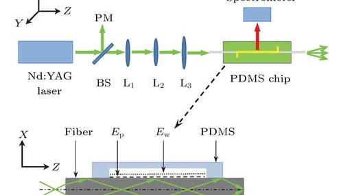 聚二甲基硅氧烷的危害是多少？ 聚二甲基硅氧烷会堵塞毛孔吗