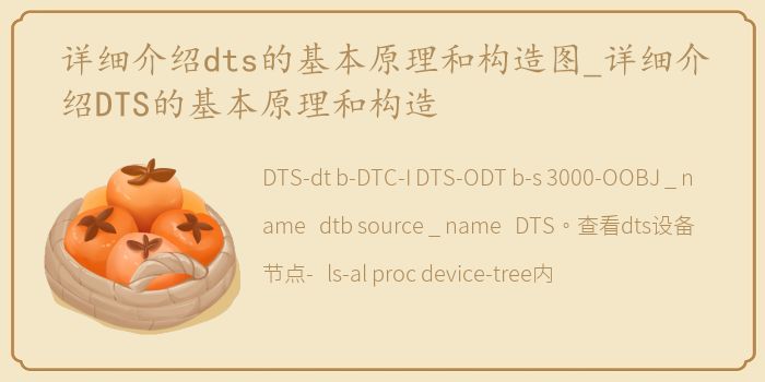 详细介绍dts的基本原理和构造图_详细介绍DTS的基本原理和构造