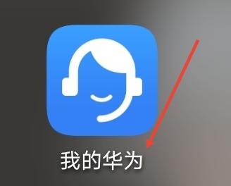 怎么给手机安装鸿蒙系统_怎么安装鸿蒙手机系统