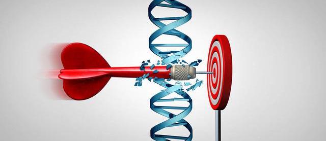 靶向药有几种？ 索拉非尼作用机制