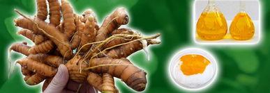 人们常常提起叶绿素，那么姜黄素是什么东西？ 姜黄素的副作用