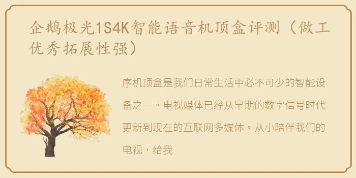 企鹅极光1S4K智能语音机顶盒评测（做工优秀拓展性强）