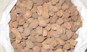 砂仁的功效与作用？ 砂仁的功效与作用