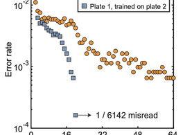 无花果汁液怎么保存？ d半乳糖溶液保存