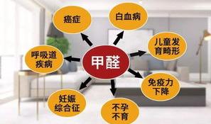 吸收甲醛最快的方法？ 甲醛治理方法