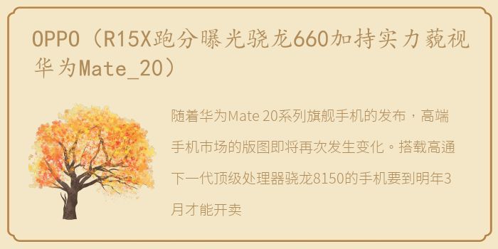 OPPO（R15X跑分曝光骁龙660加持实力藐视华为Mate_20）