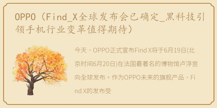 OPPO（Find_X全球发布会已确定_黑科技引领手机行业变革值得期待）