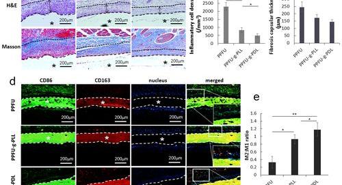 聚赖氨酸盐酸盐用途？ 多聚赖氨酸