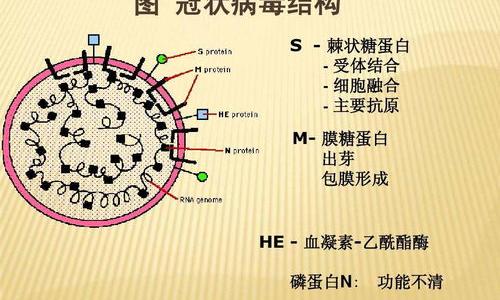 沈阳最新疫情发布会时间 阿比多尔的用量为