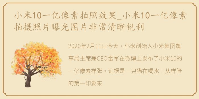 小米10一亿像素拍照效果_小米10一亿像素拍摄照片曝光图片非常清晰锐利