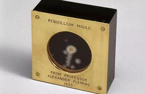 梅毒检测1:16打苄星青霉素240单位× 苄星青霉素240