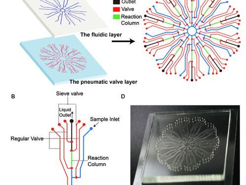 检测氯霉素的行业标准 氯霉素检测方法