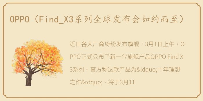 OPPO（Find_X3系列全球发布会如约而至）