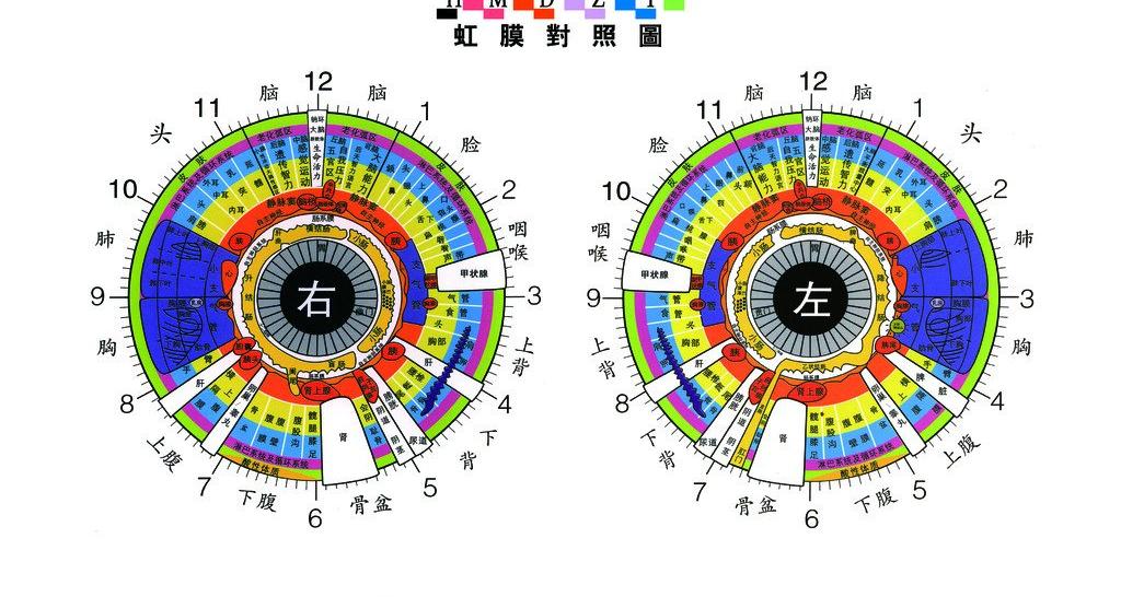 虹膜识别技术原理及解决方案文章_虹膜识别技术原理及解决方案