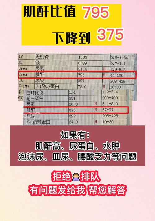 有什么方法降肌酐如食物 降肌酐最快的十种食物