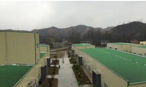 蛋氨酸锌真的能代替氧化锌? 蛋氨酸锌的作用