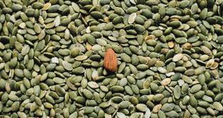 维生素b的作用及功能？ 泛酸的作用及功能介绍