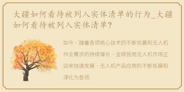 大疆如何看待被列入实体清单的行为_大疆如何看待被列入实体清单?