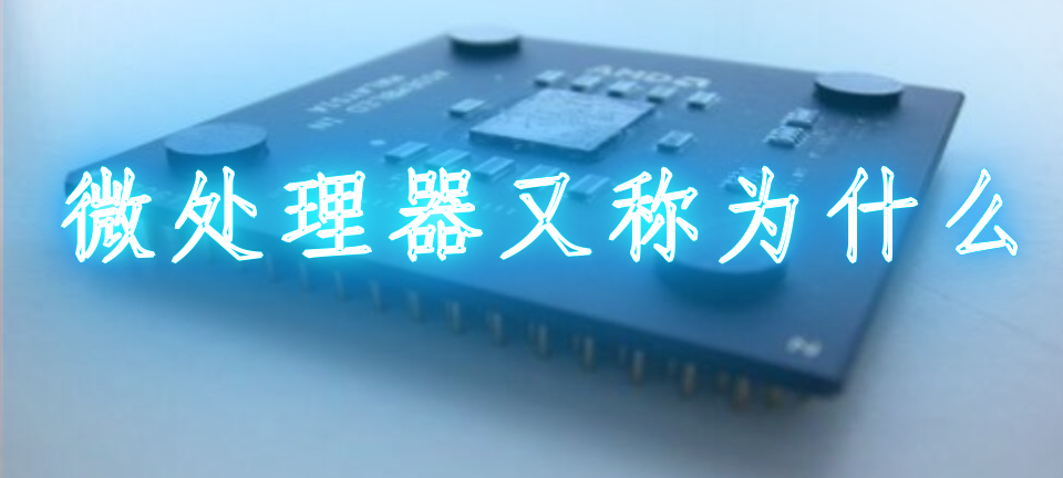 处理器和芯片的区别_微处理器又称为什么