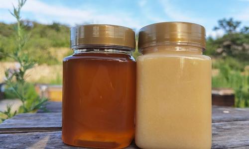 蔗糖是单糖吗 蔗糖是单糖还是多糖