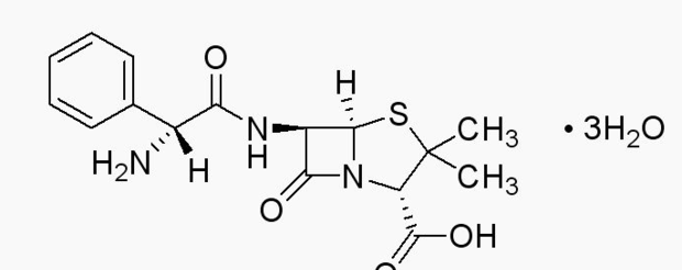 谷氨酸在鱼饵中的作用？ 谷氨酸的功效与作用