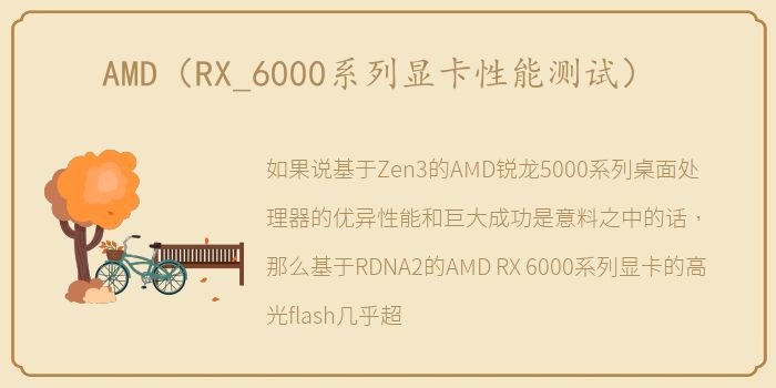 AMD（RX_6000系列显卡性能测试）