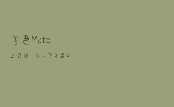 华为Mate20评测（一机之下万机之上魅力不止麒麟980）
